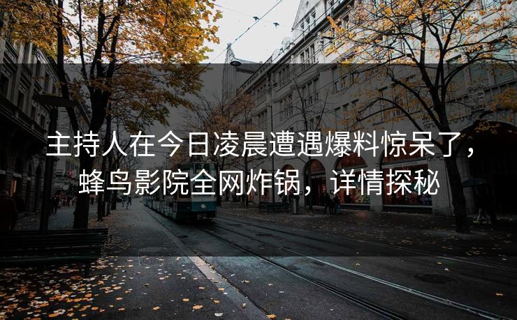 主持人在今日凌晨遭遇爆料惊呆了，蜂鸟影院全网炸锅，详情探秘